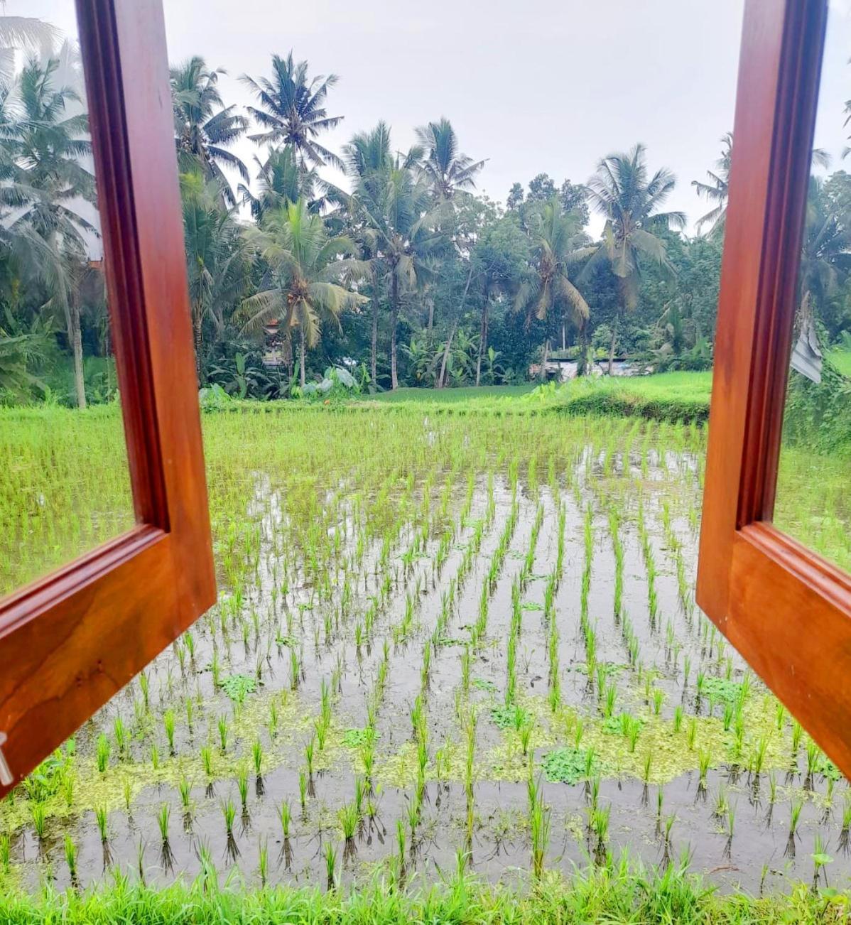 As I Am Ubud Retreat Zimmer foto