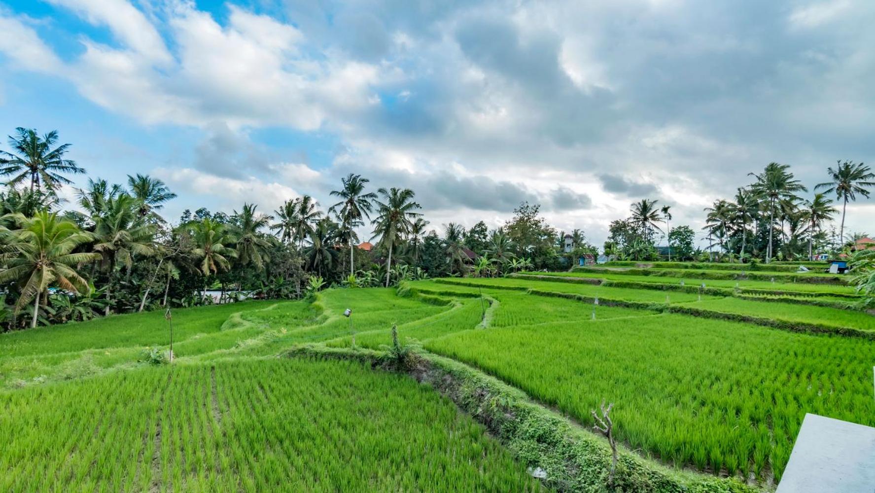 As I Am Ubud Retreat Exterior foto